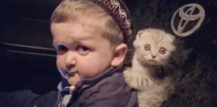 Internet sensation Hasbulla Magomedov tortures cat, video goes viral