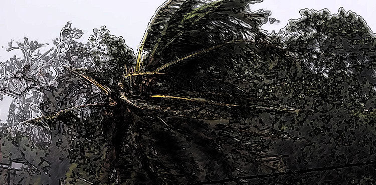 Why is Cyclone Freddy a record-breaking storm?