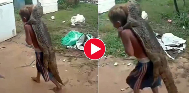 Viral video: Boy carrying crocodile on his back leaves netizens shocked