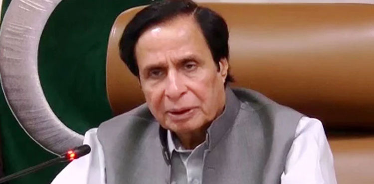 Chaudhry Pervaiz Elahi secures bail in 'corruption' case