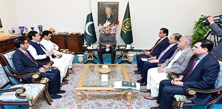 Census: PM Sharif assures MQM-P of grievances redressal