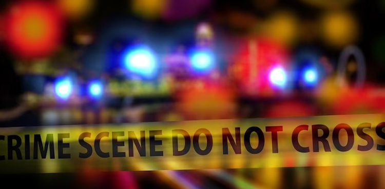 Girl, 14, shoots dead classmate, commits suicide