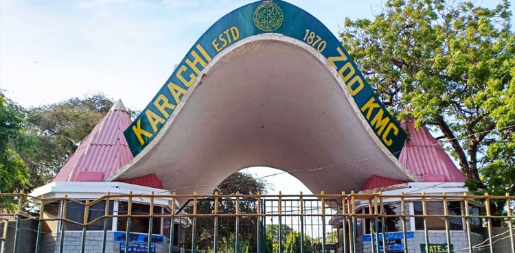 Govt decides to shut down Karachi Zoo permanently