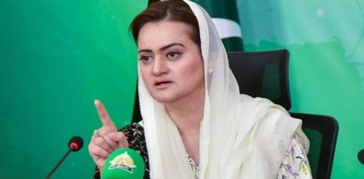 Marriyum Aurangzeb refutes rumours about meeting of ruling alliance