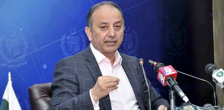 Saudi firm Manara may invest in Reko Diq mine: Musadik Malik