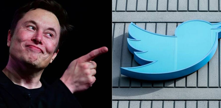 Video and audio calls coming to Twitter: Elon Musk