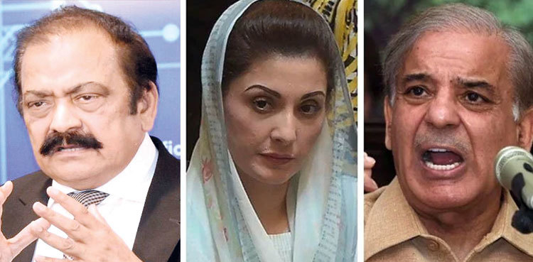 PTI seeks FIR against PM Shehbaz, Maryam Nawaz Sharif, Rana Sanaullah