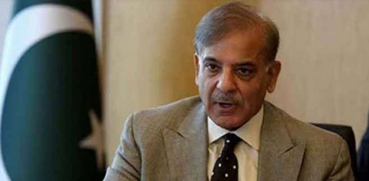 PM Shehbaz Sharif summons PML-N consultative session