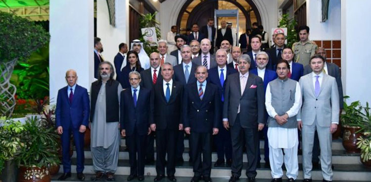 PM Shehbaz lauds Muslim countries’ assistance during floods