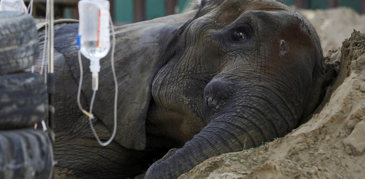 Karachi administrator swings into action after Noor Jehan’s death  