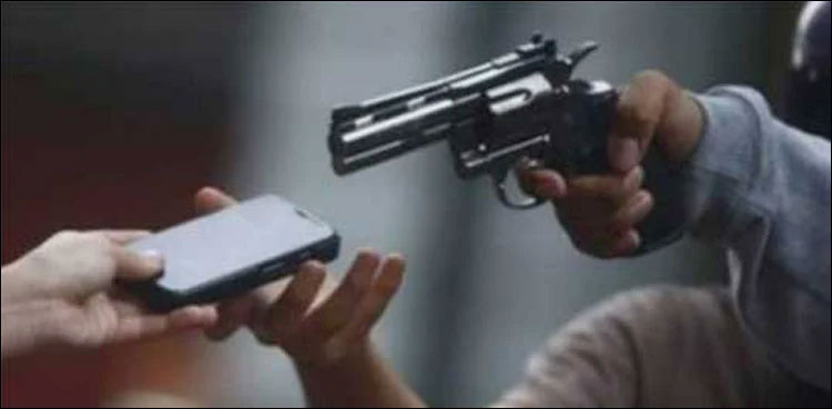 'Over 80 Karachiites killed on robbery resistance in 2023'