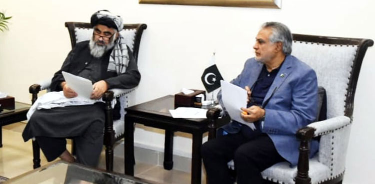 Ishaq Dar says govt will facilitate Hujjaj in every possible manner