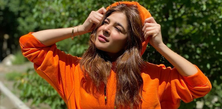 Ayesha Omar shares career plans after marriage