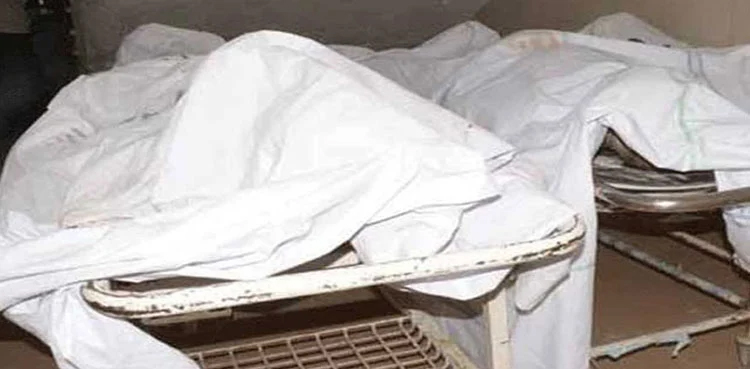 Seven Punjab workers killed in terrorist attack in Gwadar: police