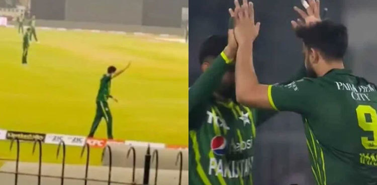 'Imad ko over do': Crowd chants during Pak v NZ T20I