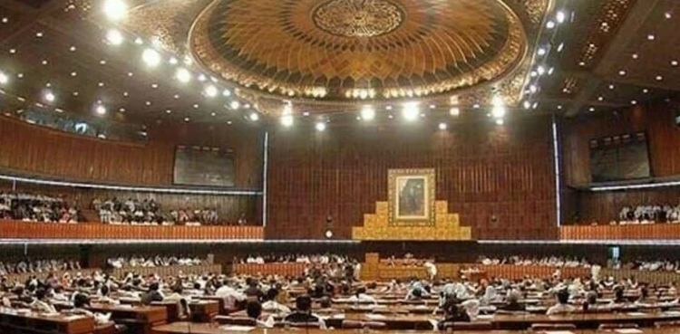 NA amends election law, abolishes lawmakers' lifetime disqualification