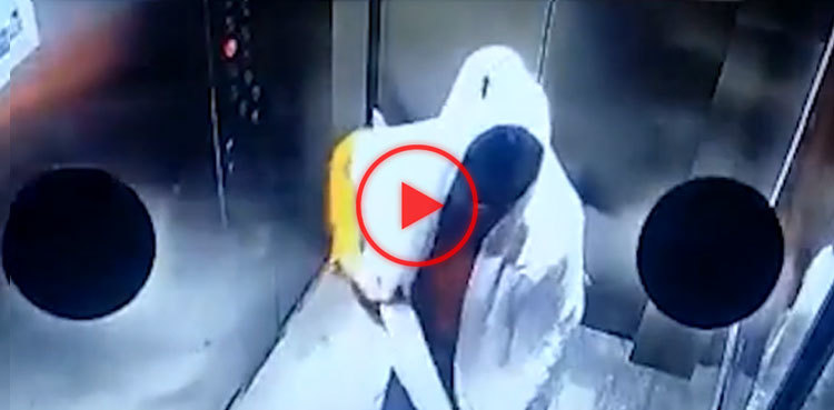 Woman beats dog mercilessly, horrific video goes viral
