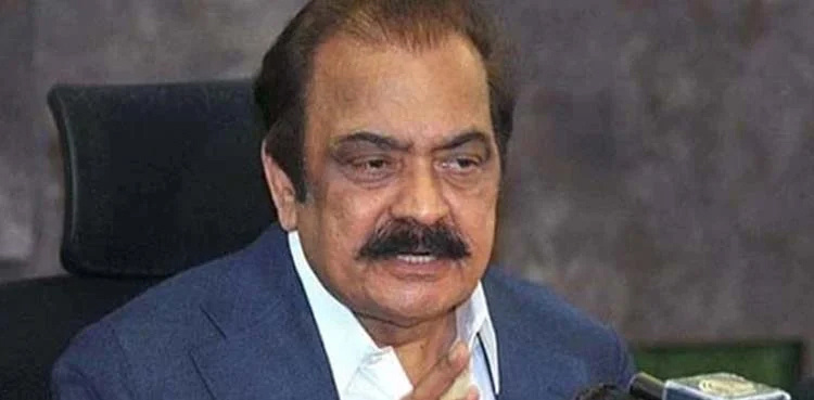 Rana Sanaullah says coalition parties to contest elections separately