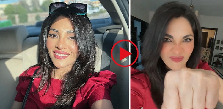 Be the bees: Zhalay Sarhadi's funny reel goes viral