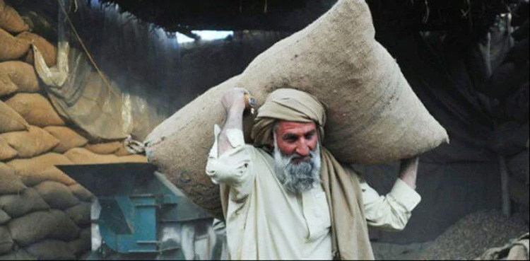 The cost of political instability