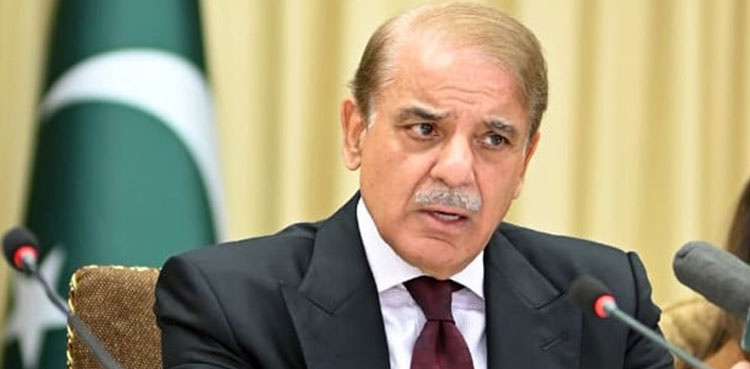 NAB declares PM Shehbaz, family innocent in money laundering reference
