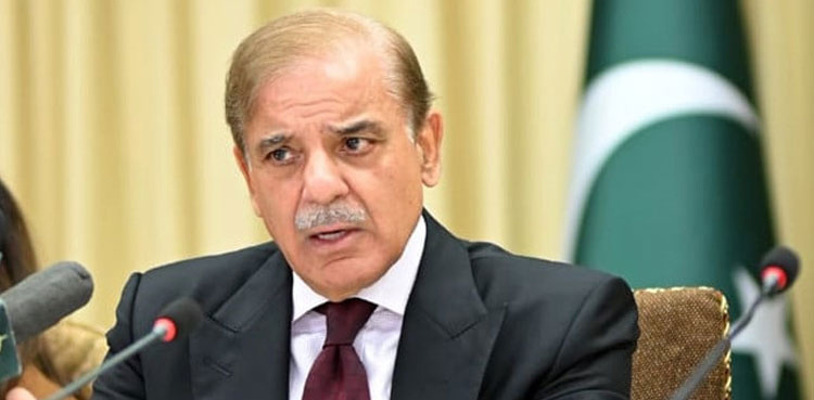 PDM leaders meet PM Shehbaz Sharif