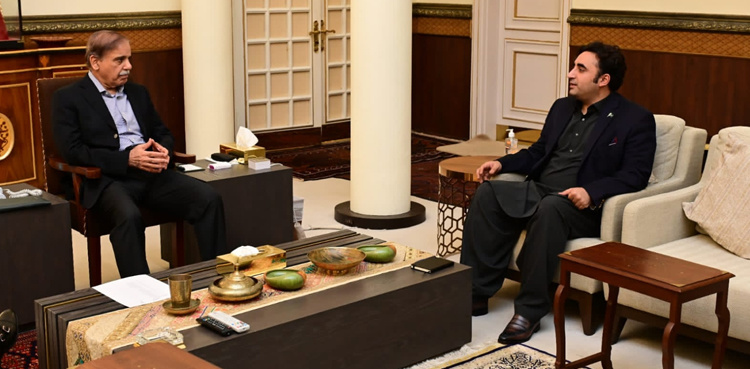 PM Shehbaz, FM Bilawal discuss political situation