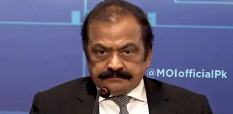 Audio leaks exposed Saqib Nisar’s character: Rana Sanaullah