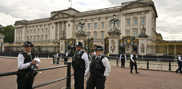 Police detain man after 'shotgun cartridges' thrown into Buckingham Palace