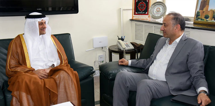 Musadik Malik invites Qatari investors to invest in LNG sector