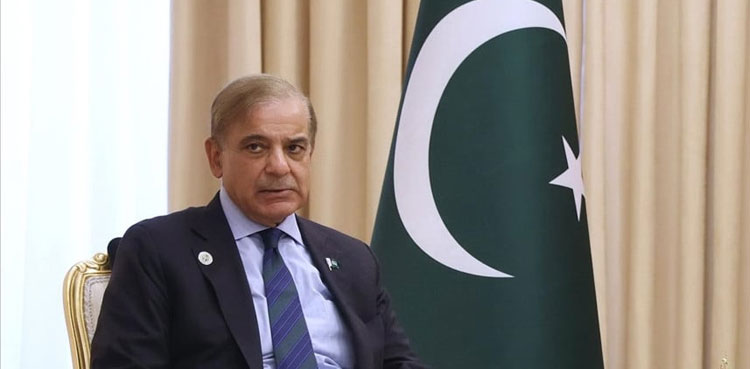 PM Shehbaz seeks formation of committees to finalise farmers’ budget proposals