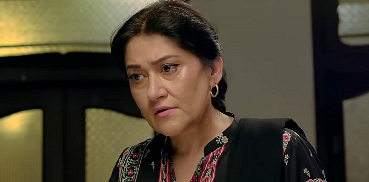 Irsa Ghazal receives love across the border for 'Kuch Ankahi'