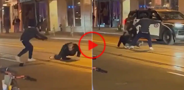 Man uses python as weapon during brawl, video goes viral