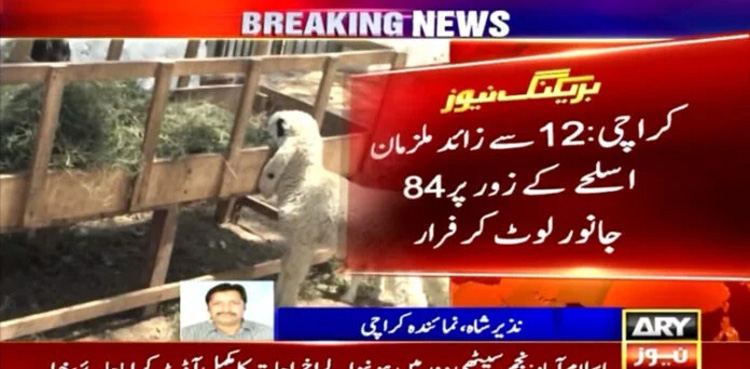 Armed men steal 84 sacrificial goats from Karachi
