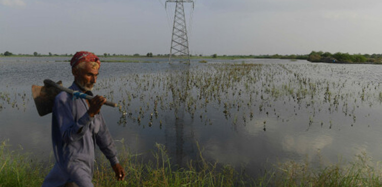 Govt announces subsidies for flood-affected farmers