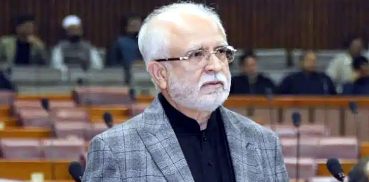 Mahmood Moulvi appointed IPP Sindh president