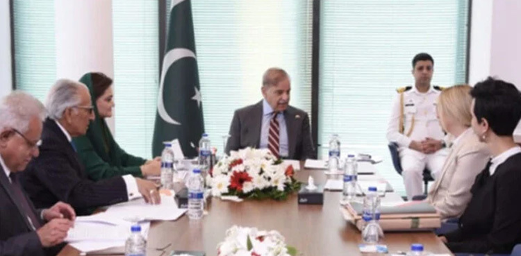 Turkish firm likely to visit Pakistan for investment opportunities