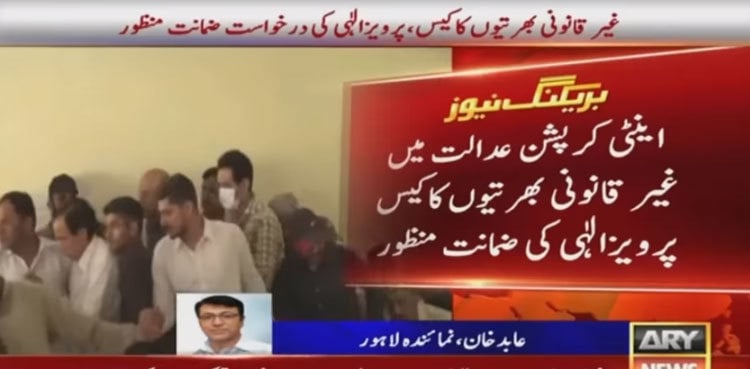 PTI's Pervaiz Elahi gets bail in illegal appointments case