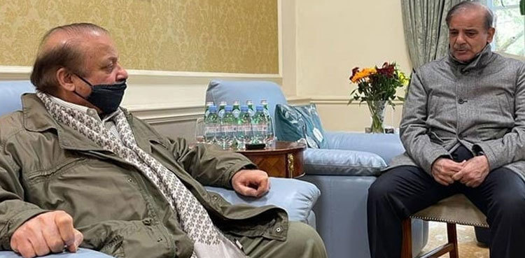 PM Shehbaz Sharif to leave for London today to meet Nawaz
