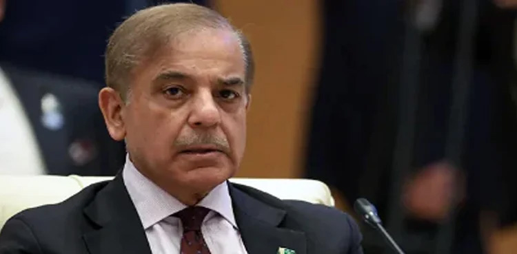 Budget: Govt allocates funds for parliamentarians' schemes despite financial woes