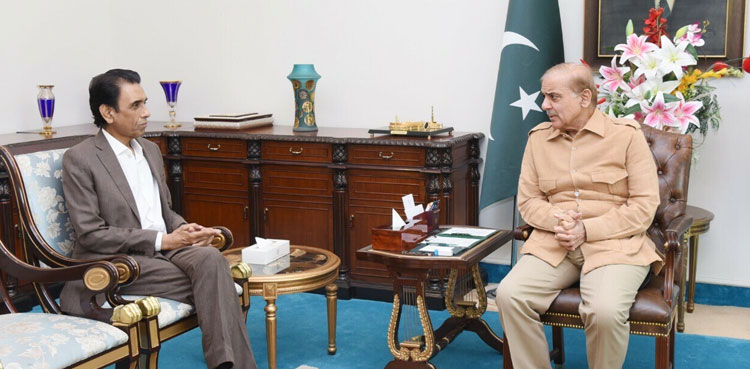 MQM-P apprises PM Shehbaz of K-Electric’s ‘dire performance’