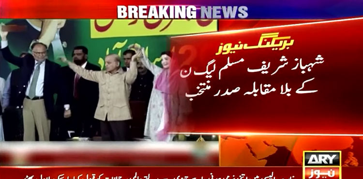 Shehbaz Sharif elected PML-N president; no position for Abbasi
