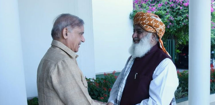 PM Shehbaz meets JUI-F chief, discusses political situation