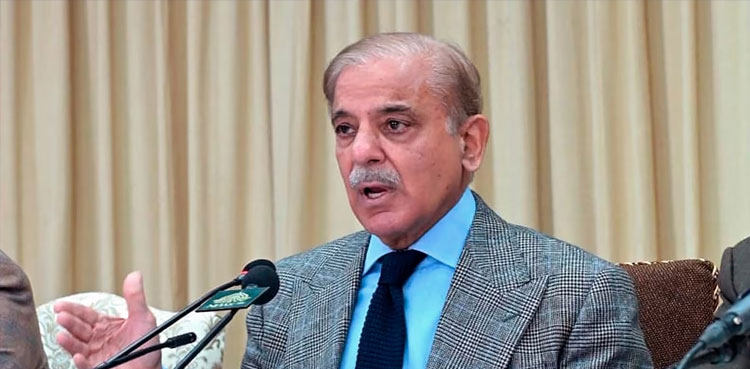 PM Shehbaz directs solarisation of govt buildings at earliest