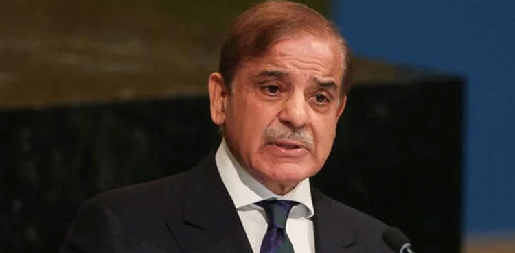 May 9 planners spreading lies to instigate expats: PM Shehbaz