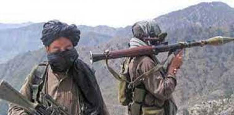 ANP seeks probe into ‘resettlement of terrorists’ in KP