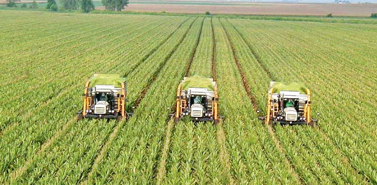 Budget 2023-24: Rs2,250b allocated for agriculture sector