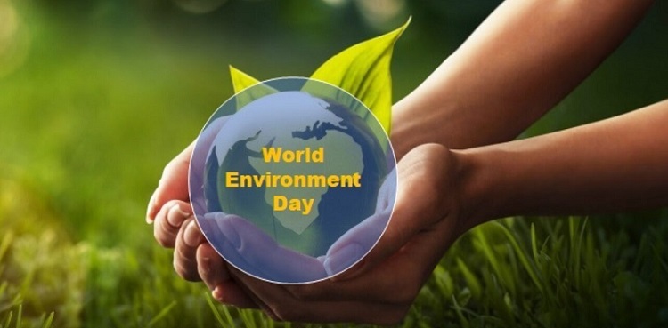 World Environment Day 2023: History, significance and everything else you need to know