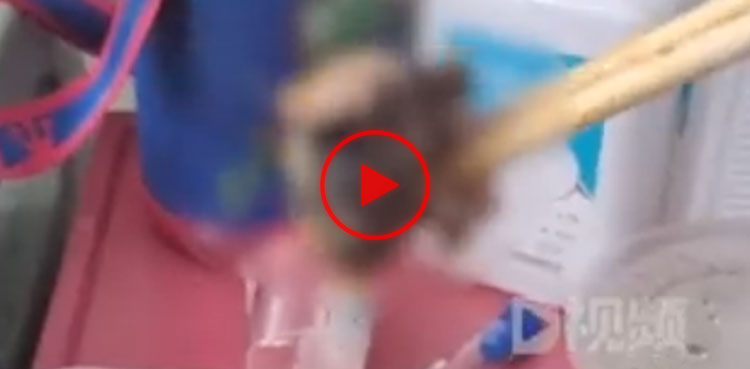 Mouse head found in China hospital lunch box, video goes viral