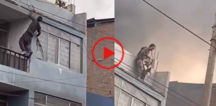 WATCH: Man with fear of heights climbs burning building to save dogs